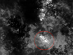 湖北咸宁老人深山走失三天 热成像仪帮助找回