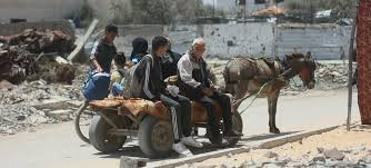 儿基会发言人呼吁以色列放行人道主义物资