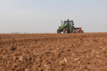全国秋冬种加紧推进 冬小麦播种近七成