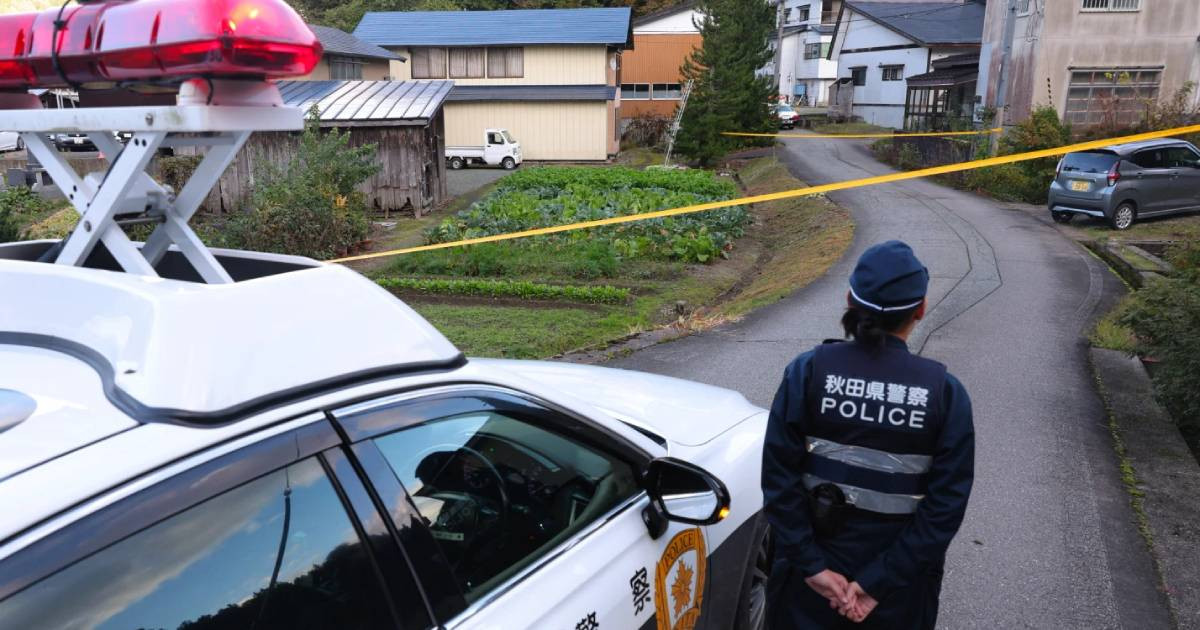 日本向"熊害"严重地区增派警力 必要情况下可"枪猎"