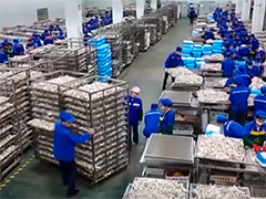 【新思想引领新征程·非凡"十四五"】发展乡村特色产业 推进乡村全面振兴