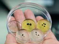 嫦娥六号月球样品研究取得新突破