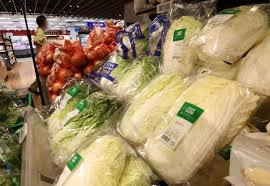 韩国白菜价格显著回落 腌制泡菜季压力缓解