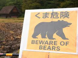 日本熊害频发 半年内死伤人数创纪录