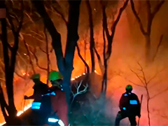 韩国江原道襄阳郡发生山火 过火面积20公顷