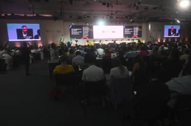 《联合国气候变化框架公约》第三十次缔约方大会达成应对气候变化挑战文件