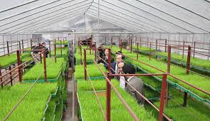 今年前10个月 供销合作系统农业社会化服务达3.2亿亩次