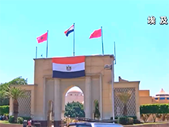 埃及卡塔尔土耳其三国代表团举行会晤