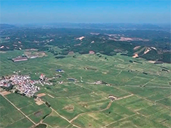 【学习贯彻四中全会精神在基层】广西:端稳国家"糖罐子" 甘肃:推动现代农业提质增效