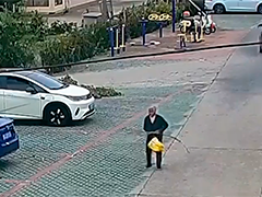 空地联动+红外热成像 上海警方成功寻回走失老人