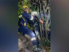 江西赣州4人被困悬崖 消防搜寻7小时救援