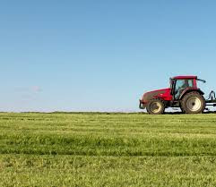 秋冬种基本结束 田间管理有序展开