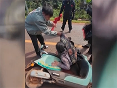 海南儋州 老人遭排蜂围攻 警民联手救助