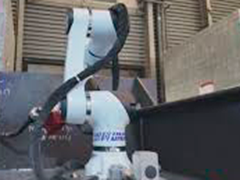 2025中国国际海事会展 全国首台造船迷你机械臂亮相