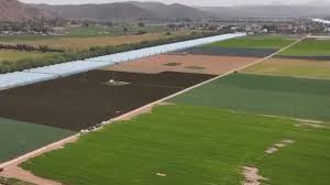 今年前10个月 我国农产品出口近6000亿元 品类达838种