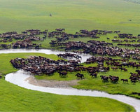 我国生态保护红线内生态系统质量稳步改善