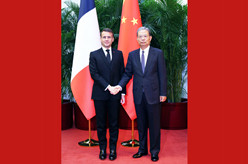赵乐际会见法国总统