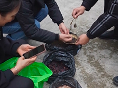 "神药"骗局现原形