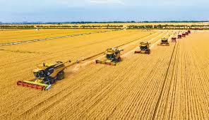 【践行新发展理念 中国经济行稳致远】乡村全面振兴扎实推进 农业农村现代化迈出坚实步伐