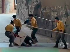 杭州野生动物园黑熊表演时突然扑倒驯养员