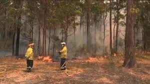 澳大利亚多地林火肆虐 有消防员殉职