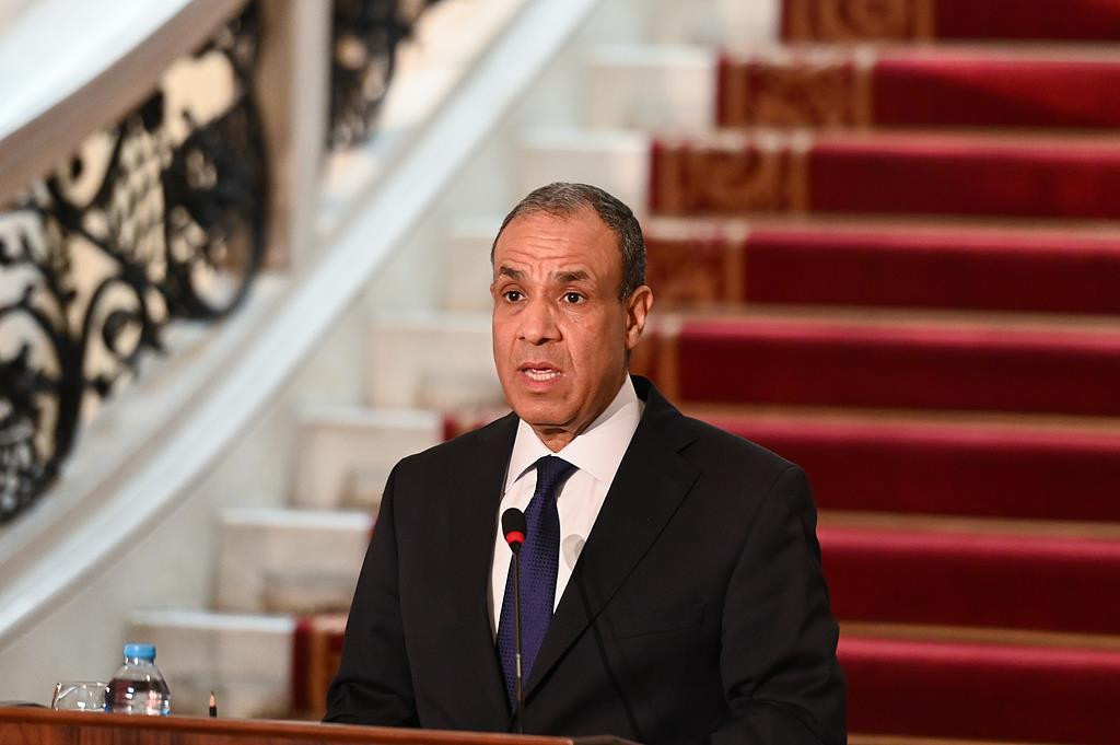 埃及外长表示 反对任何旨在驱逐巴勒斯坦人的企图