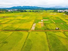 "十四五"期间我国新建改造提升高标准农田4.6亿亩