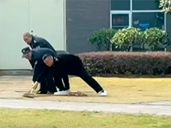 广东韶关小区大蛇出没 多人联手"请离"