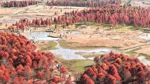 国家林草局 "十四五"我国湿地面积稳定在8亿亩以上