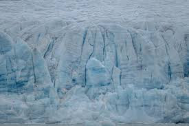 北极气温再创新高 为1900年以来最高值