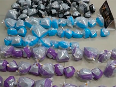 珠海客车司机违规携带近200只活体动物入境