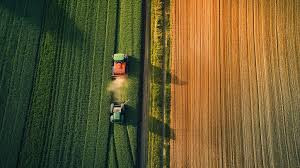 农业农村部 种业振兴"五年见成效"阶段性目标即将完成