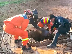 江西于都七旬老人深陷淤泥 多方成功救援
