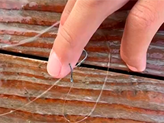 西安桥上扎堆钓鱼 任性甩钩频伤皮划艇小队员