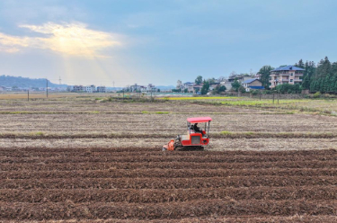 抢抓农闲时节 加快推进高标准农田建设