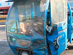 黑龙江大庆三轮车主短暂离开 牧羊犬"开车"惹祸