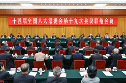 十四届全国人大常委会第十九次会议举行联组会议