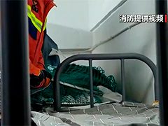 安徽铜陵野猴误入学生宿舍 多方联动安全抓捕