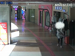 武汉女子为实现"穿衣自由"多次跨城盗窃女装