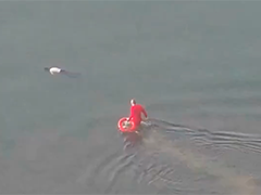 湖北宜昌市民落水命悬一线 退役老兵跳江救援