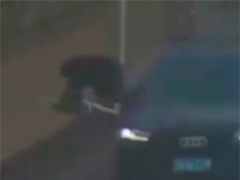 专坑朋友 碰瓷敲诈团伙被一锅端