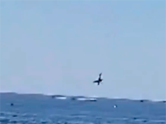 巴西一小型飞机在海滩附近坠海 飞行员丧生