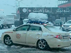 伊拉克强降雪致交通瘫痪 多部门预警严阵以待