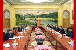 丁薛祥会见巴基斯坦副总理兼外长