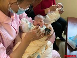 2026年度育儿补贴今起开始申领