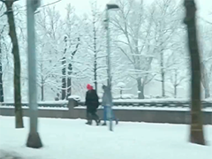 塞尔维亚迎来强降雪天气 交通受影响