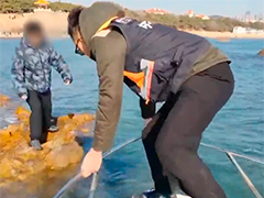 青岛两名游客被困礁石 救生队员成功营救