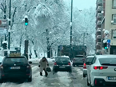 波黑遭遇强降雪 萨拉热窝大树倒伏致1人死亡