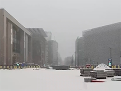 比利时出现大范围冰雪天气 影响交通出行