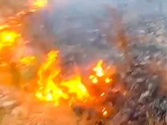 上海闵行:绿化带突发火情 护校辅警及时处置